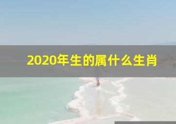 2020年生的属什么生肖