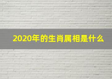 2020年的生肖属相是什么