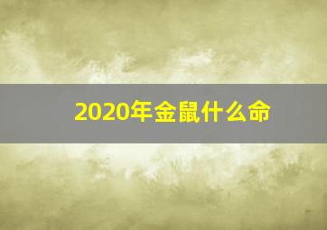 2020年金鼠什么命