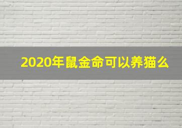 2020年鼠金命可以养猫么