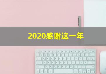 2020感谢这一年