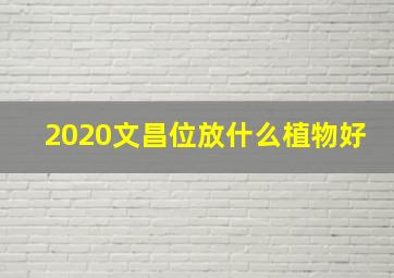 2020文昌位放什么植物好