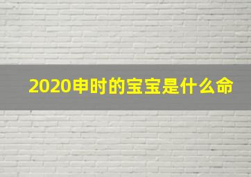 2020申时的宝宝是什么命