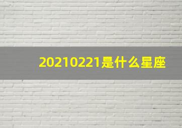 20210221是什么星座