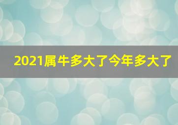 2021属牛多大了今年多大了