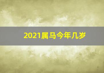 2021属马今年几岁