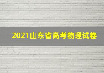 2021山东省高考物理试卷