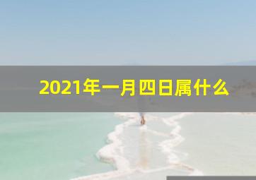 2021年一月四日属什么