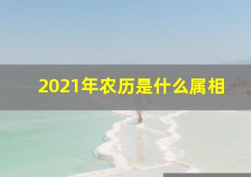 2021年农历是什么属相