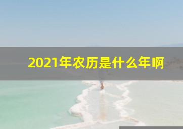 2021年农历是什么年啊