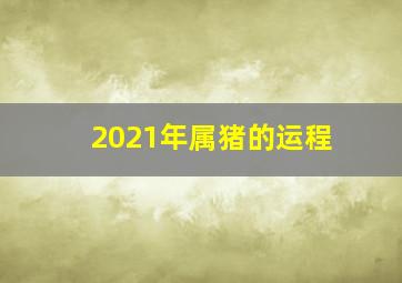 2021年属猪的运程