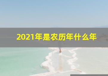 2021年是农历年什么年