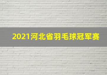 2021河北省羽毛球冠军赛