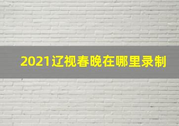 2021辽视春晚在哪里录制