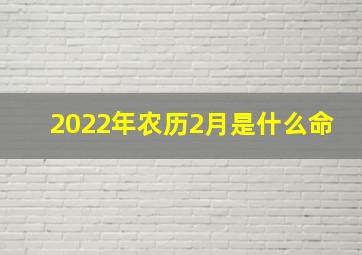 2022年农历2月是什么命