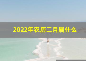 2022年农历二月属什么