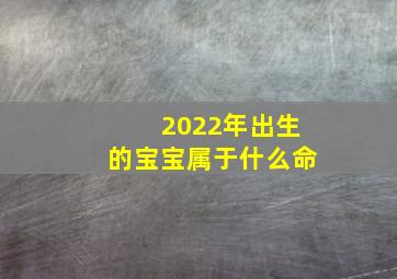 2022年出生的宝宝属于什么命