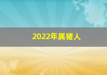 2022年属猪人