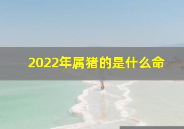 2022年属猪的是什么命