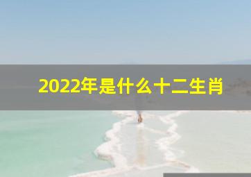 2022年是什么十二生肖