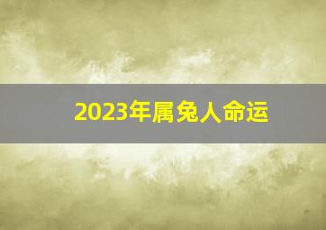 2023年属兔人命运