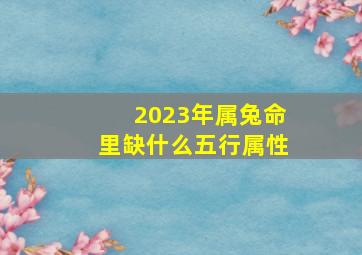 2023年属兔命里缺什么五行属性