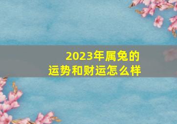 2023年属兔的运势和财运怎么样