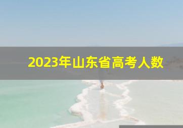 2023年山东省高考人数