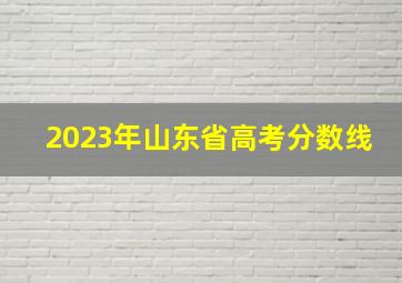 2023年山东省高考分数线