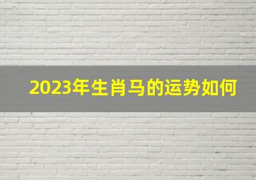 2023年生肖马的运势如何