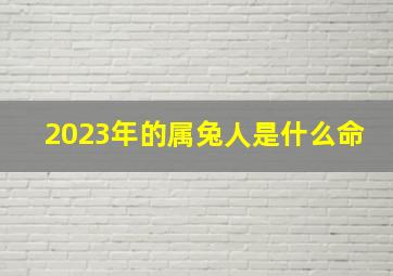 2023年的属兔人是什么命