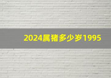 2024属猪多少岁1995