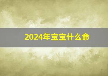 2024年宝宝什么命