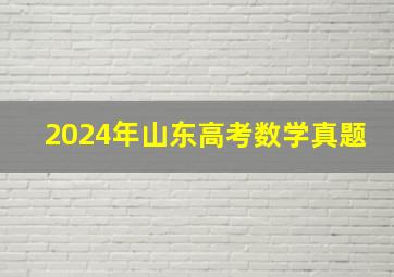 2024年山东高考数学真题