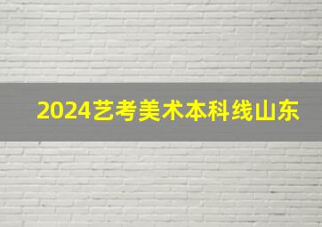 2024艺考美术本科线山东