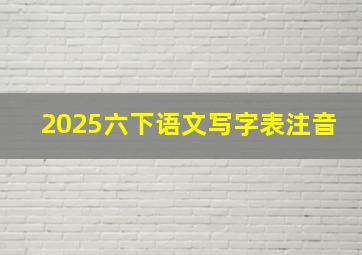 2025六下语文写字表注音