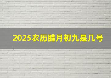 2025农历腊月初九是几号