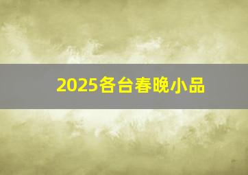 2025各台春晚小品