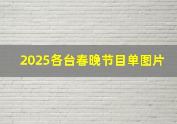 2025各台春晚节目单图片