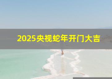 2025央视蛇年开门大吉