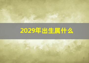 2029年出生属什么