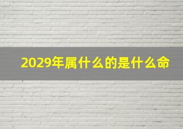 2029年属什么的是什么命