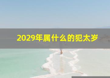 2029年属什么的犯太岁