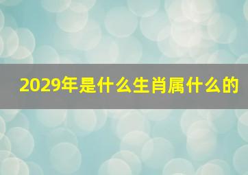 2029年是什么生肖属什么的