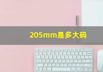 205mm是多大码