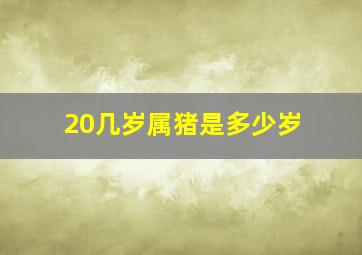 20几岁属猪是多少岁