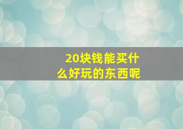 20块钱能买什么好玩的东西呢