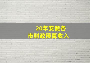 20年安徽各市财政预算收入