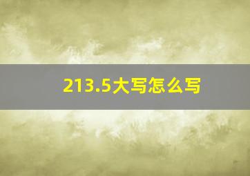 213.5大写怎么写