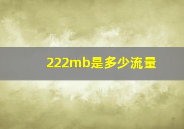 222mb是多少流量